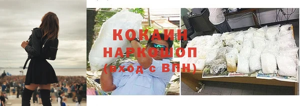 Альфа ПВП Инта