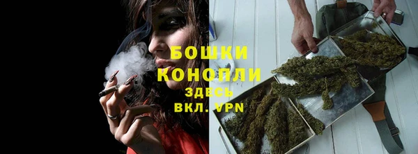 Альфа ПВП Инта