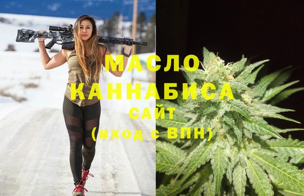 Альфа ПВП Инта