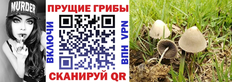 Купить  Ишимбай  Псилоцибиновые грибы ЛСД 