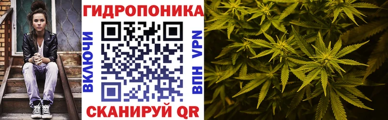 Купить  Ишимбай  Бошки Шишки ГИДРОПОН 